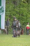 Hundepräsentation 2019